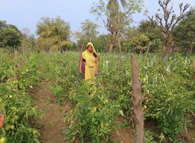 India: When the Field Became an Identity. True Farming, True Freedom