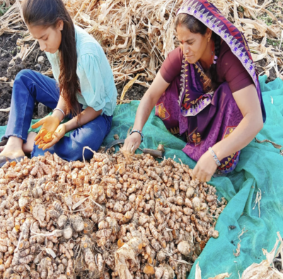 Indian Women Take Charge of Livelihoods — Turmeric Becomes Their Support
