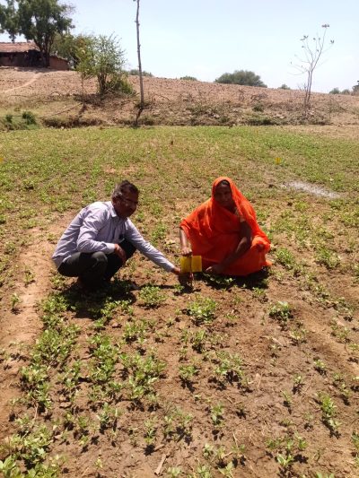 How a Check Dam Transformed Rural Livelihoods in Rajasthan